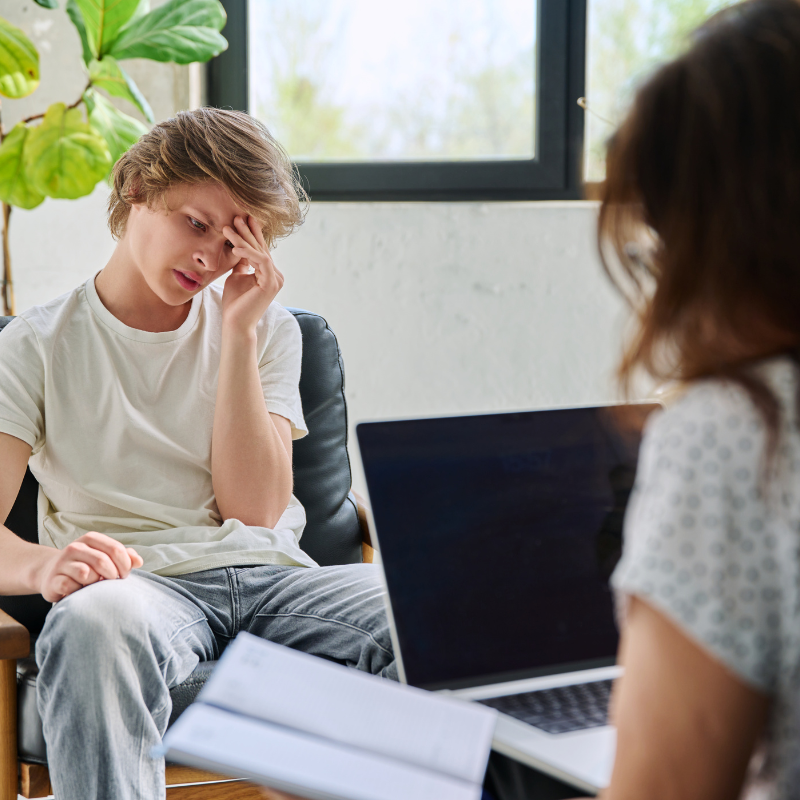 Understanding Teenage Behavior and Emotional Development